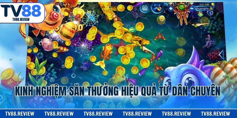 Kinh nghiệm săn thưởng hiệu quả từ dân chuyên